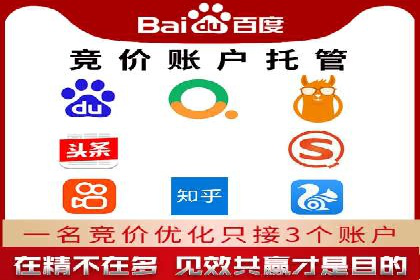 专业SEM托管服务，效果显著的案例展示